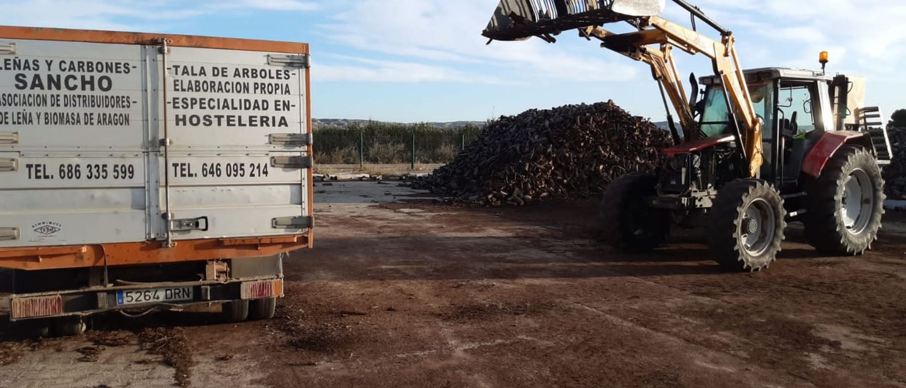 Leña de carrasca para empresas y particulares